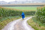 hiking, hike, rainy day