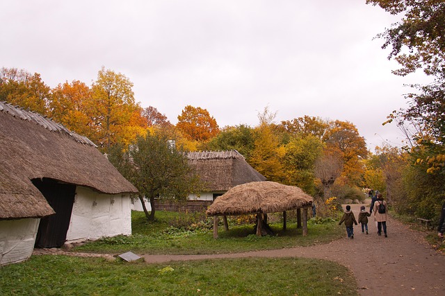 Free The Open-Air Museum Farm photo and picture