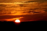 sunset, horizon, forest