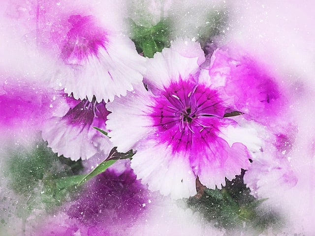 Blomster, Lilla, Kunst, Abstrakt, Natur