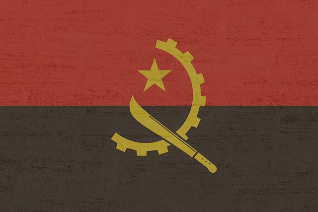Free Angola Banner photo and picture