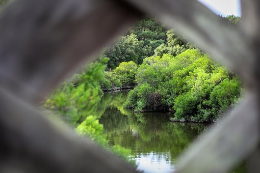 Free Frame Nature photo and picture
