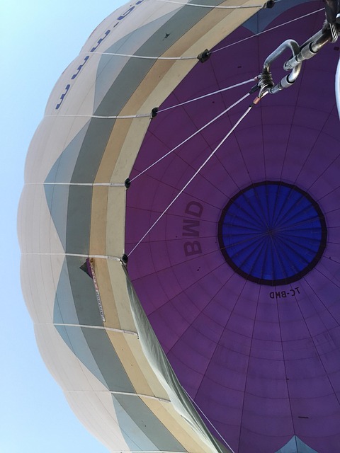 Free Hot Air Balloon Background photo and picture