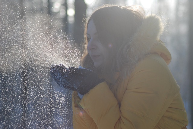 Free Snow Nature photo and picture