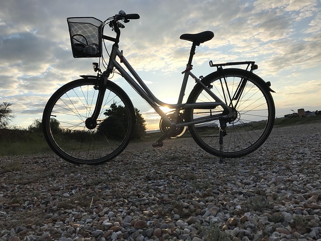 Free Cycle Beach photo and picture