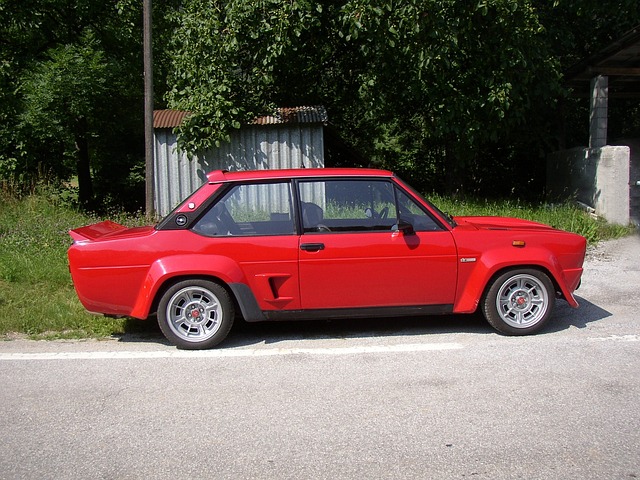 Free Fiat Rally photo and picture