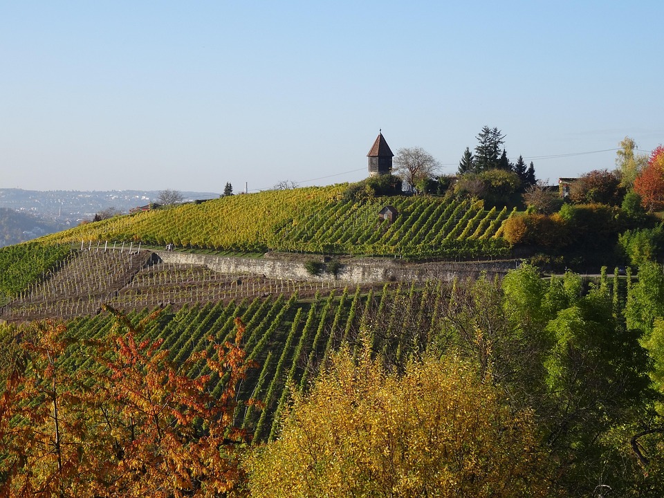 Weinberg Uhlbach Stuttgart · Kostenloses Foto auf Pixabay