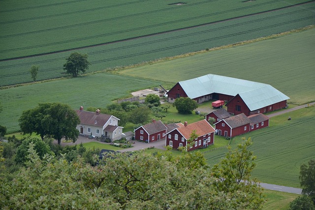 Free Sverige Sweden photo and picture