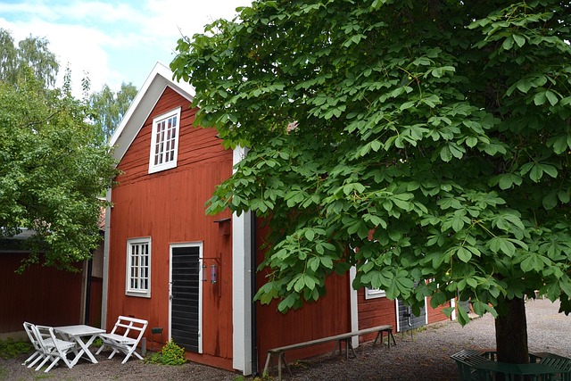 Free Sweden Sverige photo and picture