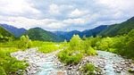 fresh green, river, spring