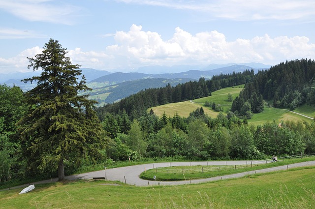 Free Mountains Meadow photo and picture