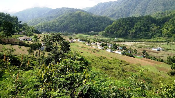 Nature, India, Jungle, Valley, Green