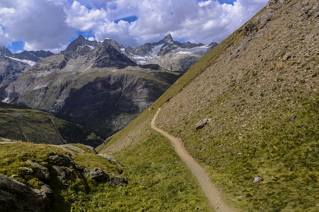 swiss alps, alps, mountains, path, mountain trail, switzerland, nature, landscape, alp, matterhorn, summer, rock, mountain group, valais, outlook, panorama, viewpoint, alpine, farm animal, bernese oberland, walker, swiss mountains, mountain village