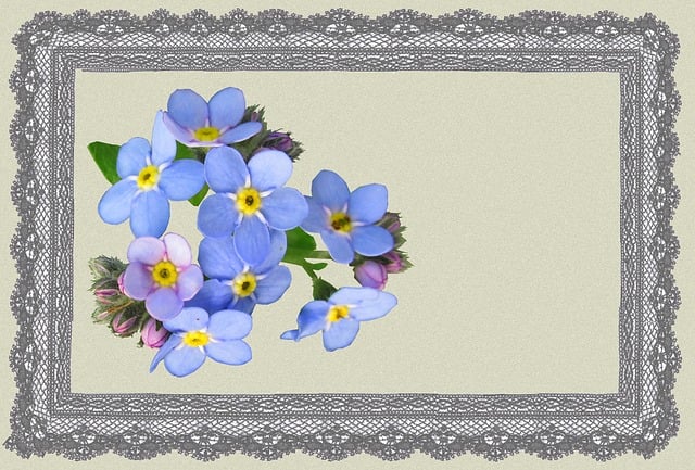 Wenskaart, Blauw, Natuur, Bloemen, Veter