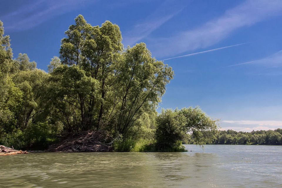 Fluss Zur Donau In Der Slowakei