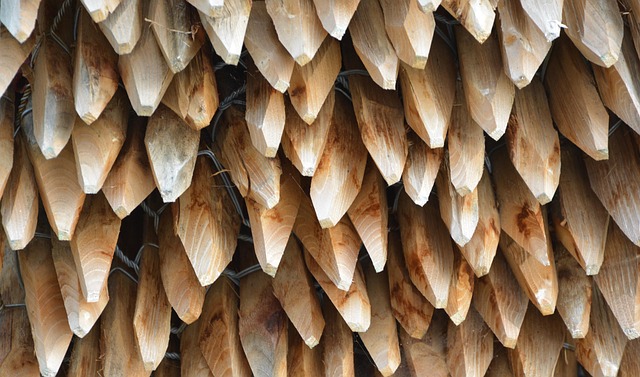 Free Poles Of Wood Stacked Posts Pruned photo and picture