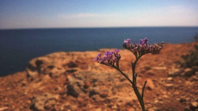 Free Russia Crimea photo and picture