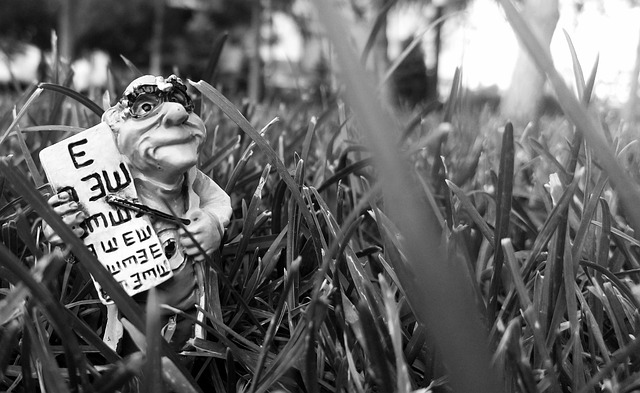 Free Black And White Nature photo and picture
