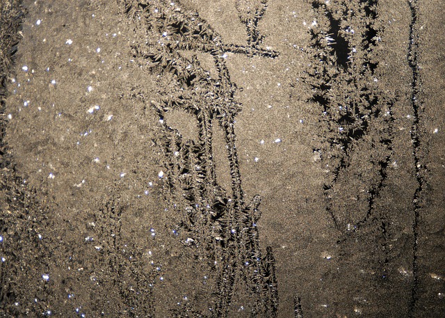 Free Ice Flowers Full Hd Wallpaper photo and picture