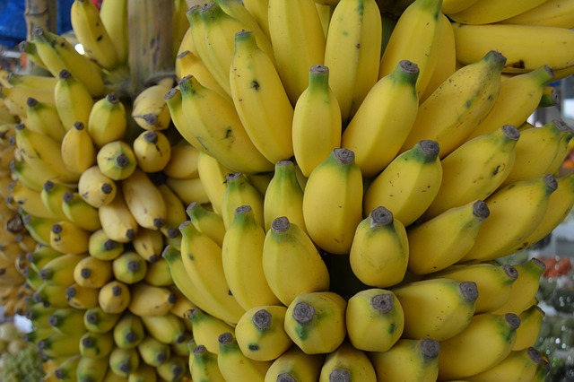 Free Banana Small Banana photo and picture