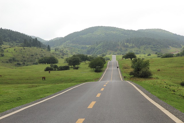 Free Extend Road photo and picture