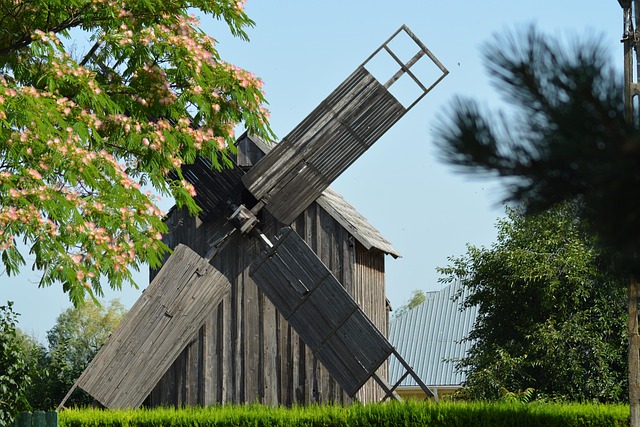 Free Mill Spring photo and picture
