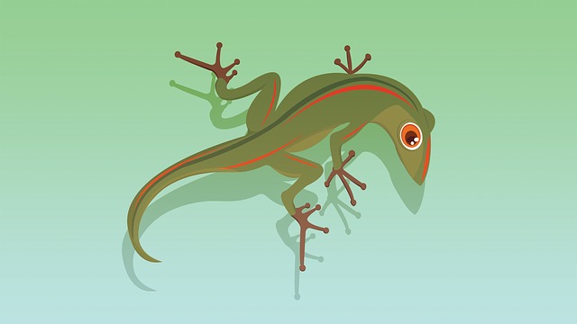 Free lizard animal reptile illustration