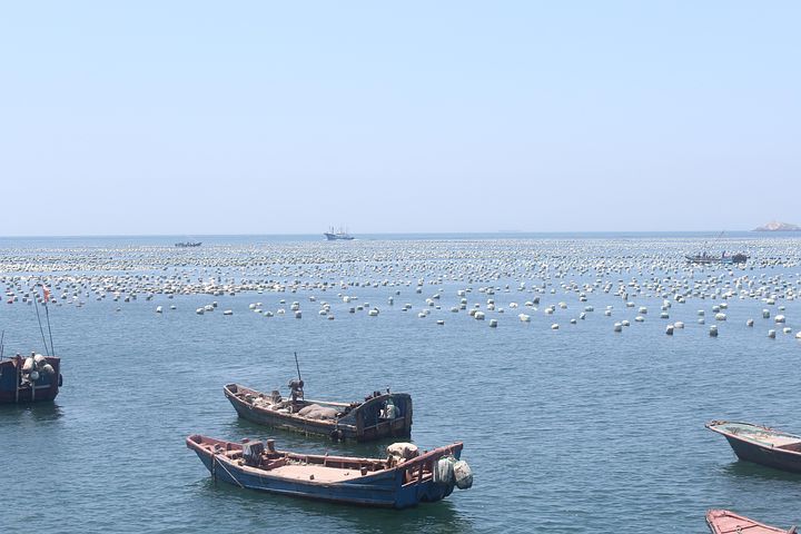 30 多张免费的“舟”和“水”照片 - Pixabay