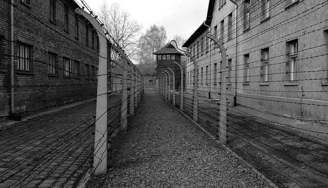 Free Auschwitz Camp photo and picture