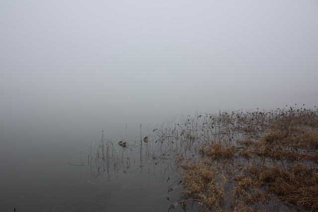 Free Winter Water photo and picture