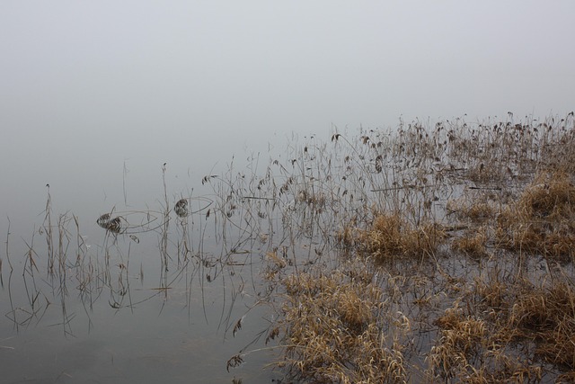 Free Winter Water photo and picture