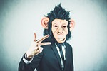 monkey, application, training