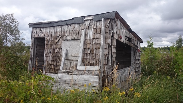 Free Hut Abandoned photo and picture