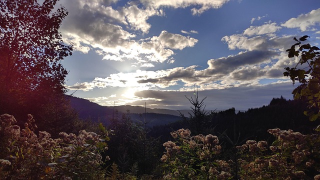 Free Sun Landscape photo and picture