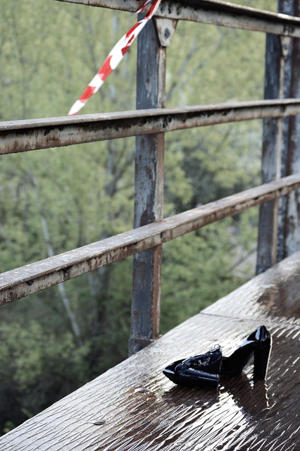 Free Bridge Shoes photo and picture