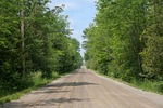 country road, country, road