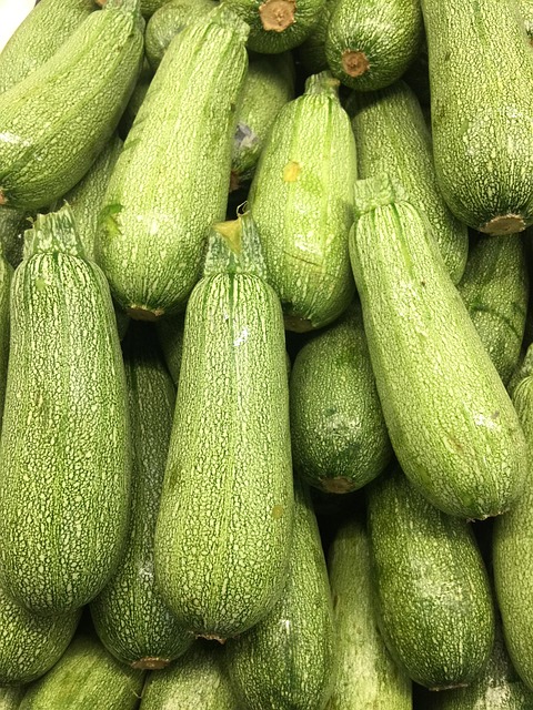 Free Zucchini Vegetables photo and picture