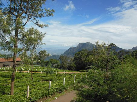 Free Scenery Nature photo and picture