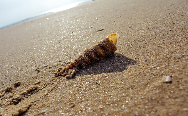 Ozean, Strand, Natur, Landschaft, Meer