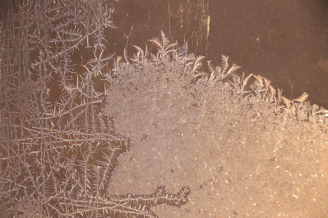 Free Ice Frost photo and picture