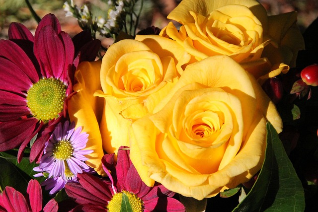 Free Floral Blossoms photo and picture