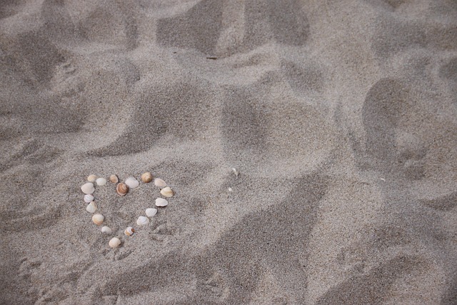 Herz, Muschel, Strand, Nordsee
