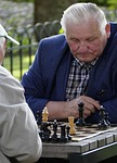 chess, chess game, chess player