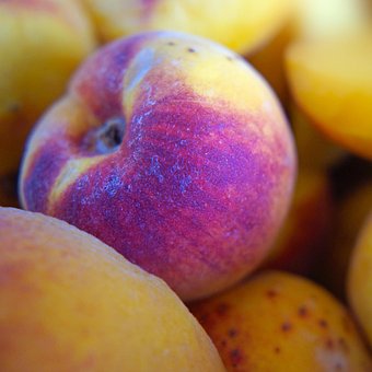 Free Fruit Peach photo and picture