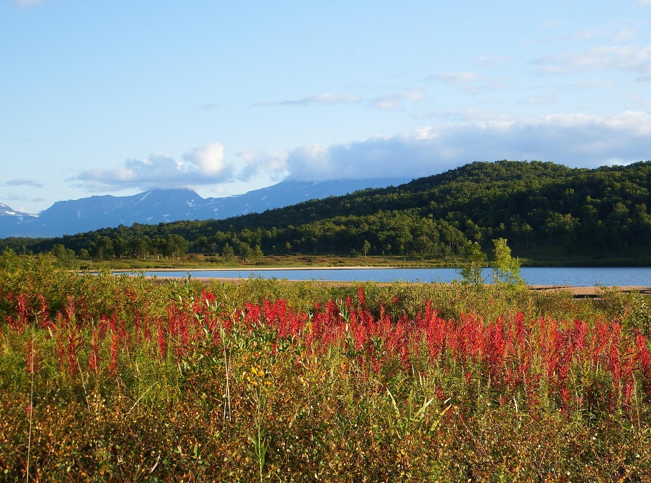 Lake - free online jigsaw puzzle photo