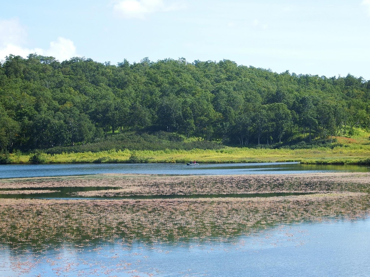 Lake - free online jigsaw puzzle photo