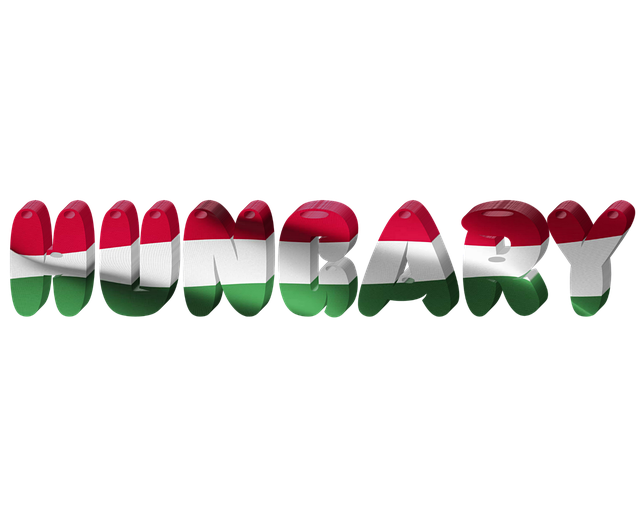 Free state international flag illustration