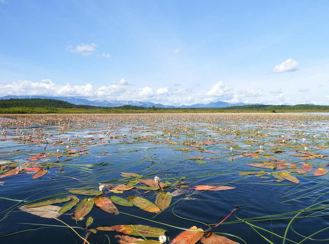 Lake - free online jigsaw puzzle photo