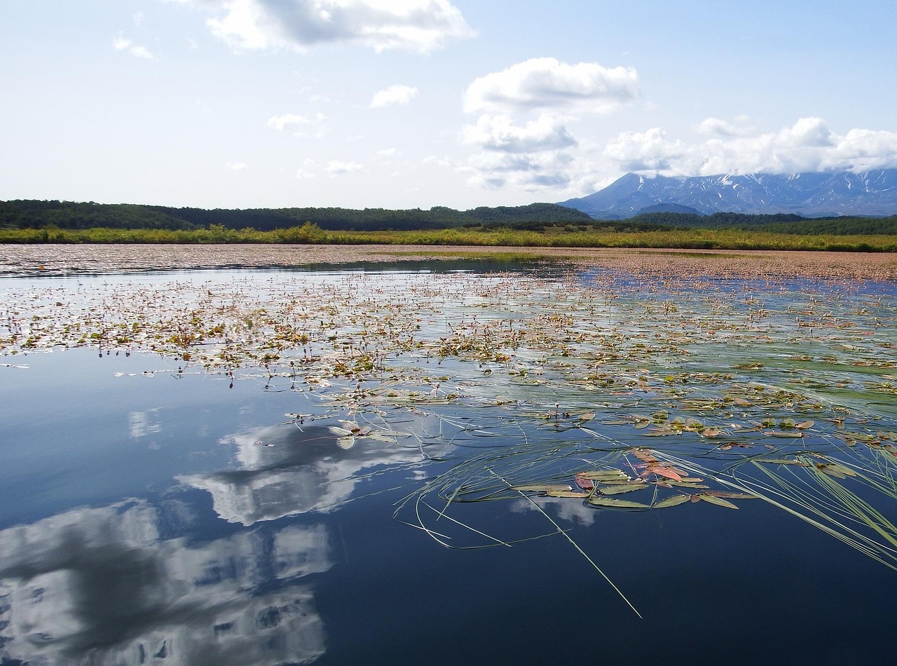 Lake - free online jigsaw puzzle photo