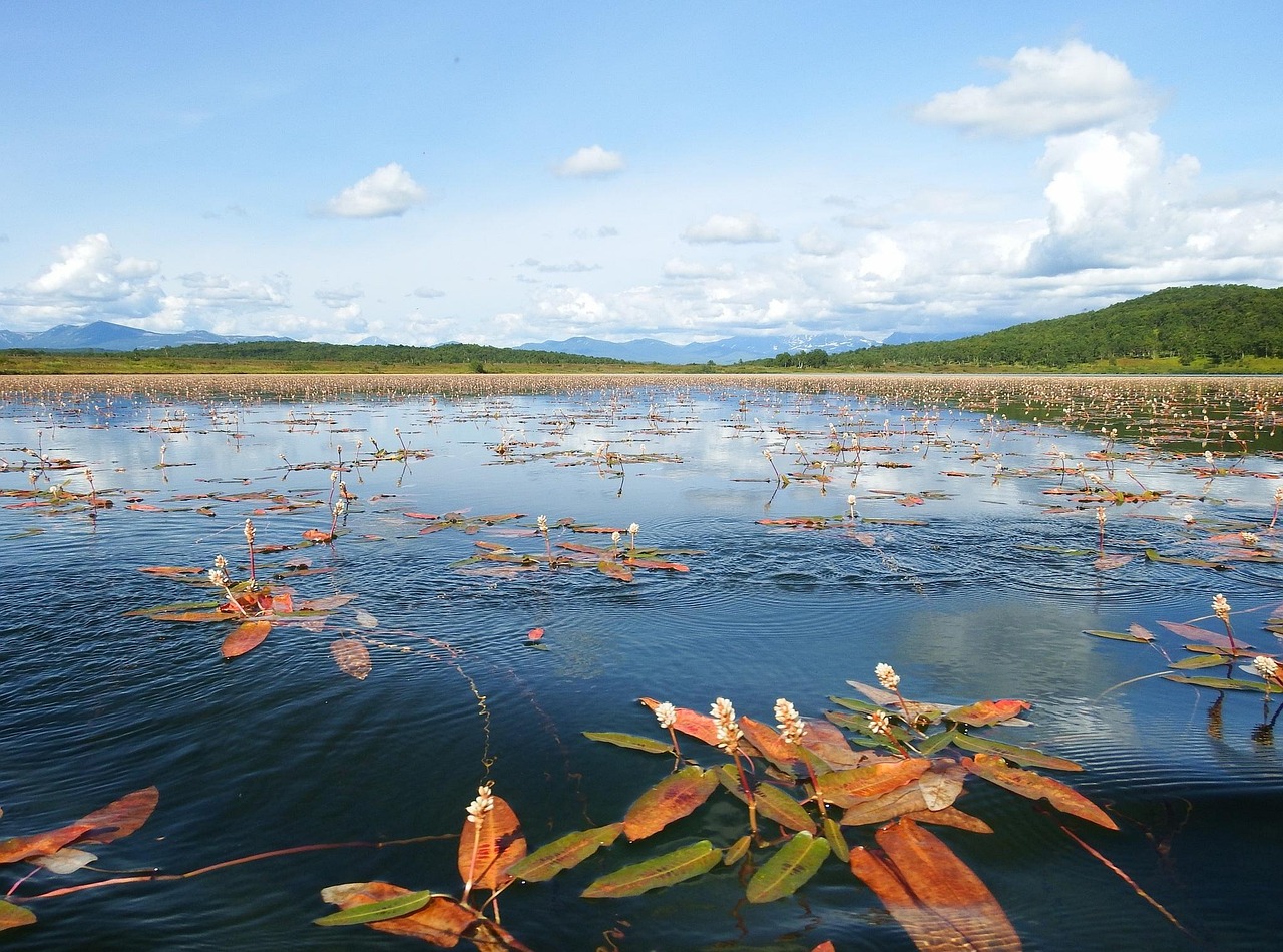 Lake - free online jigsaw puzzle photo